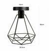 Flat E27 Vintage Ceiling Black Diamond cage light